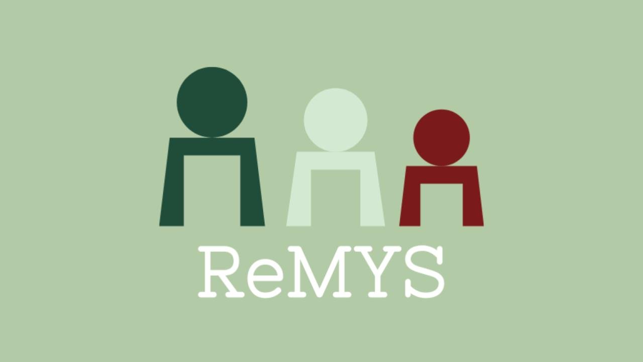 ReMYS Research Project